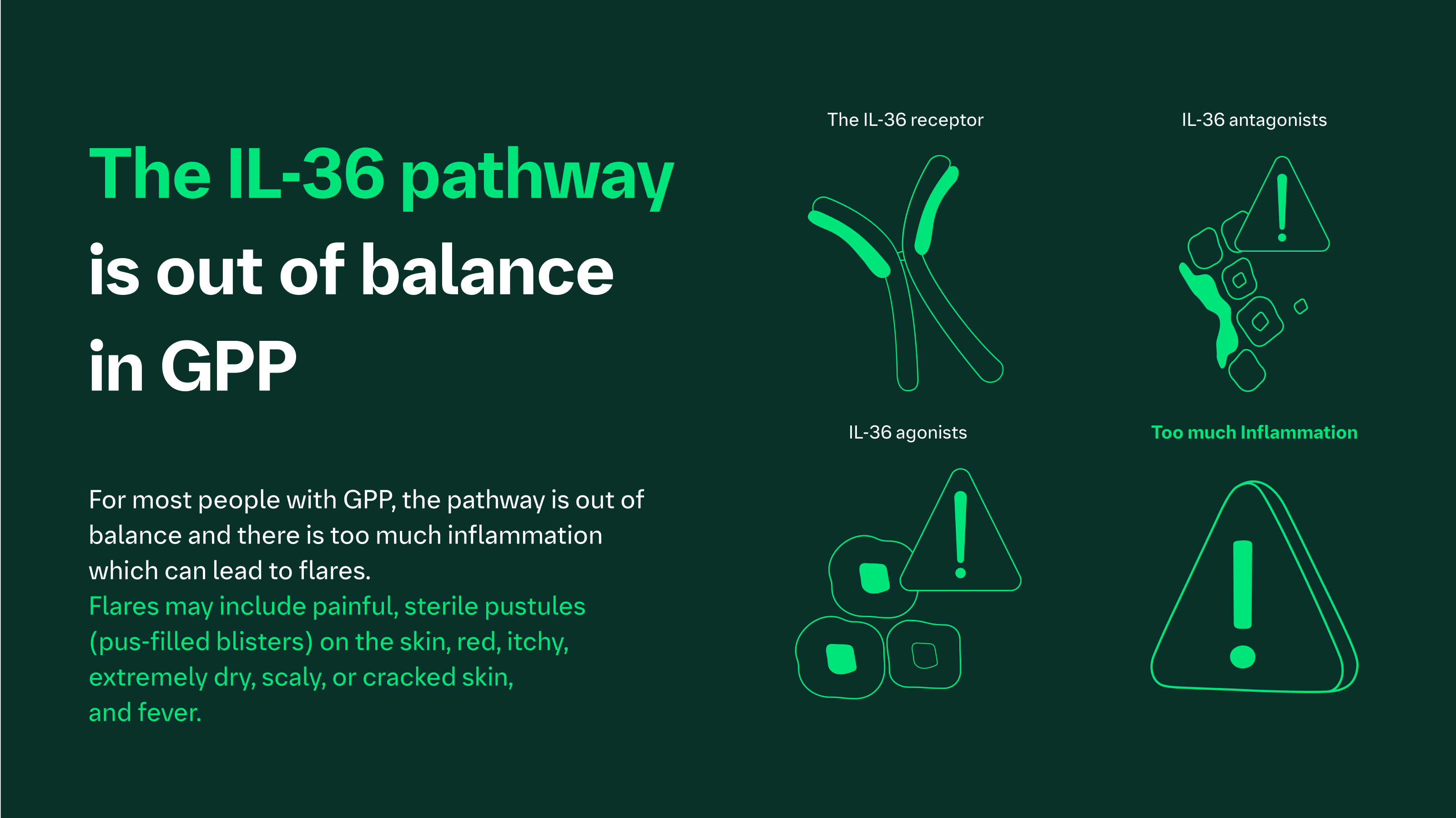 Causes of generalized pustular psoriasis: il-36 pathway linked to Generalized pustular psoriasis
